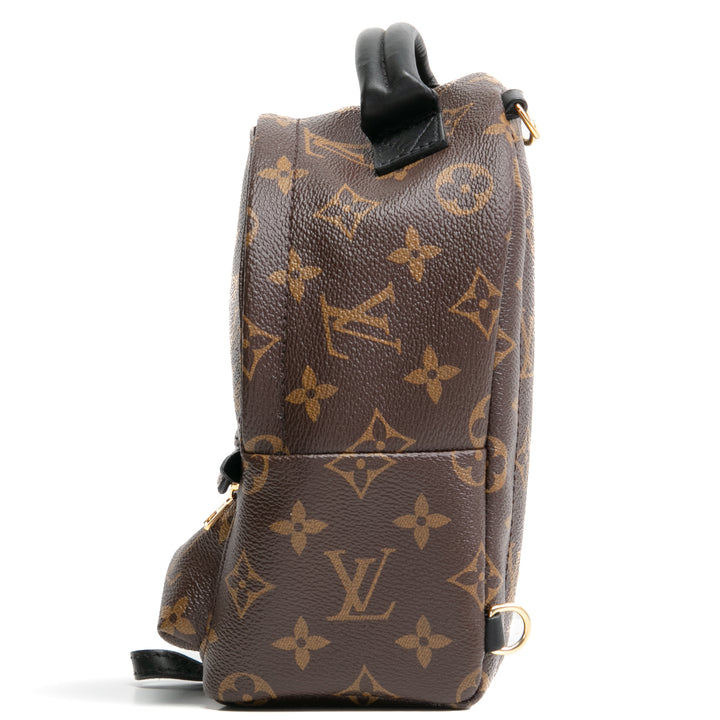 LOUIS VUITTON Palm Springs Mini Backpack