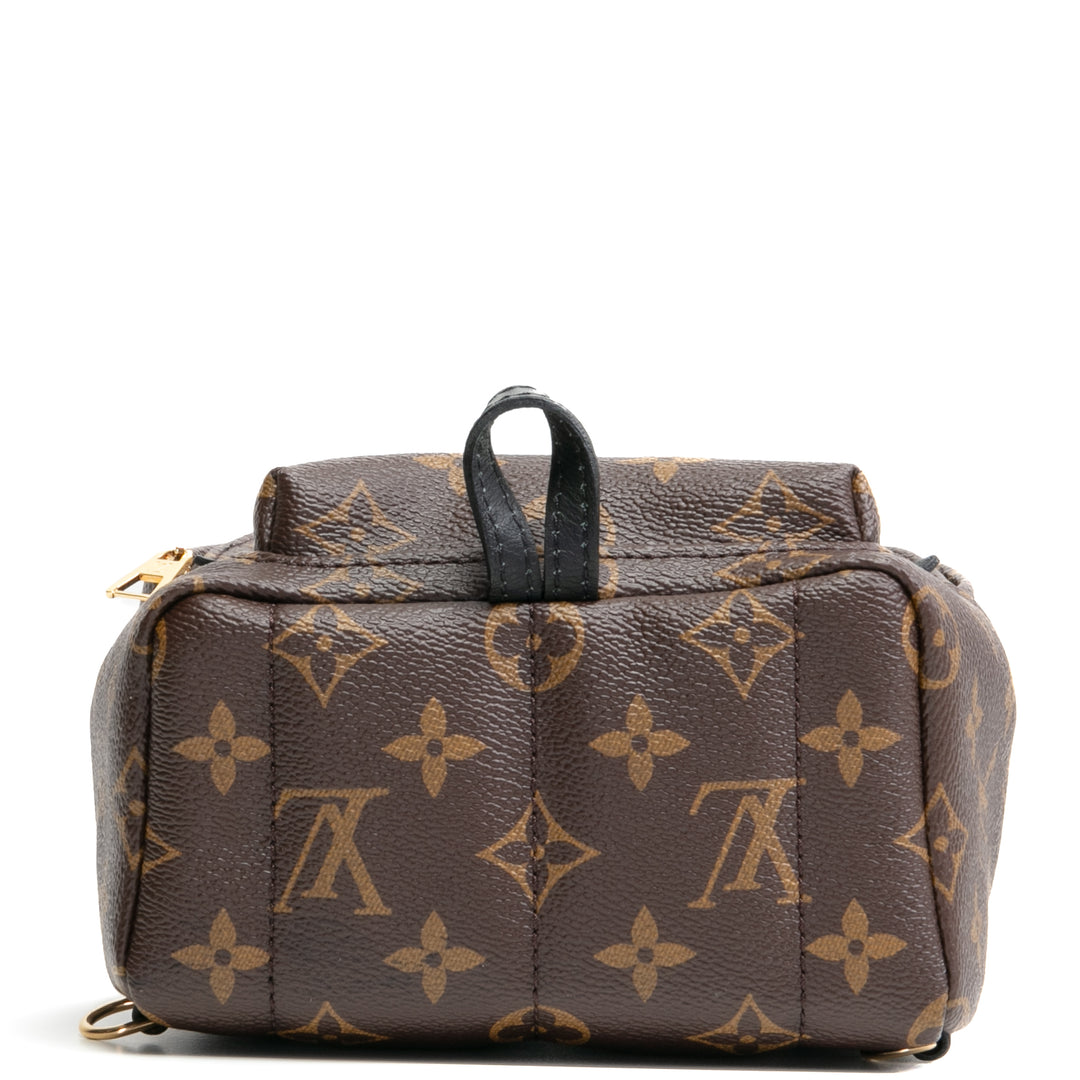 LOUIS VUITTON Palm Springs Mini Backpack